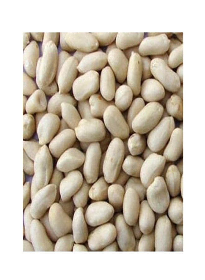 Avenn Khari Sing | Israeli Jumbo Roasted Salted with Husk Peanuts | High Protein - Gluten Free Mungfali | Singdana (Without Skin, 200 GM) - Image 2