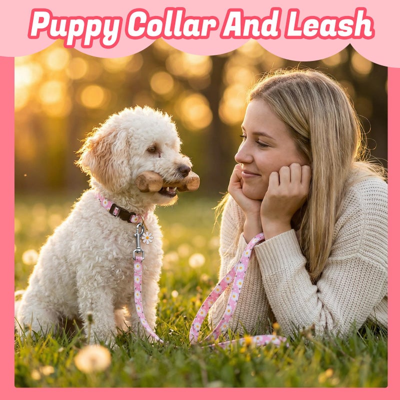 Guiqulai 6 Pack Dog Collar and Leash Set, Puppy Collar and Leash Adjustable Floral Dog Collars for Small Dogs Soft Pet Collar for Puppy Small Dogs - Image 5