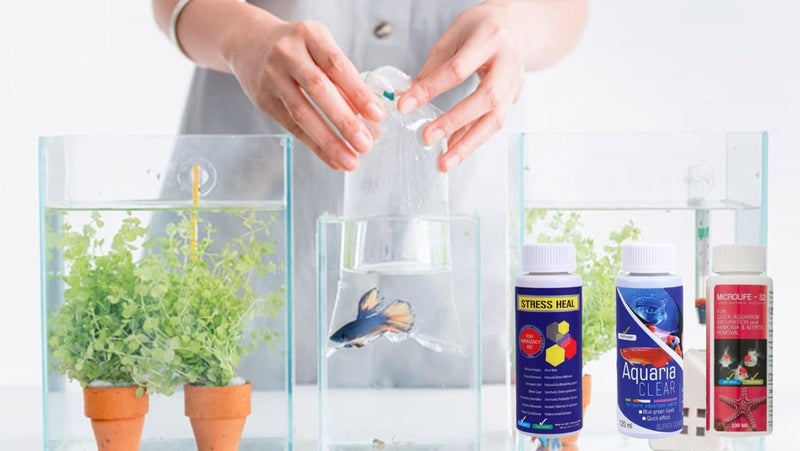 VAYINATO Aquatic Remedies Aquarium Fish Tank Must Have Starter Combo (Stress Heal + Aquaria Clear + Microlife S2) 3 * 100 Ml - 3 Pcs Combo Starter Pack - Image 5