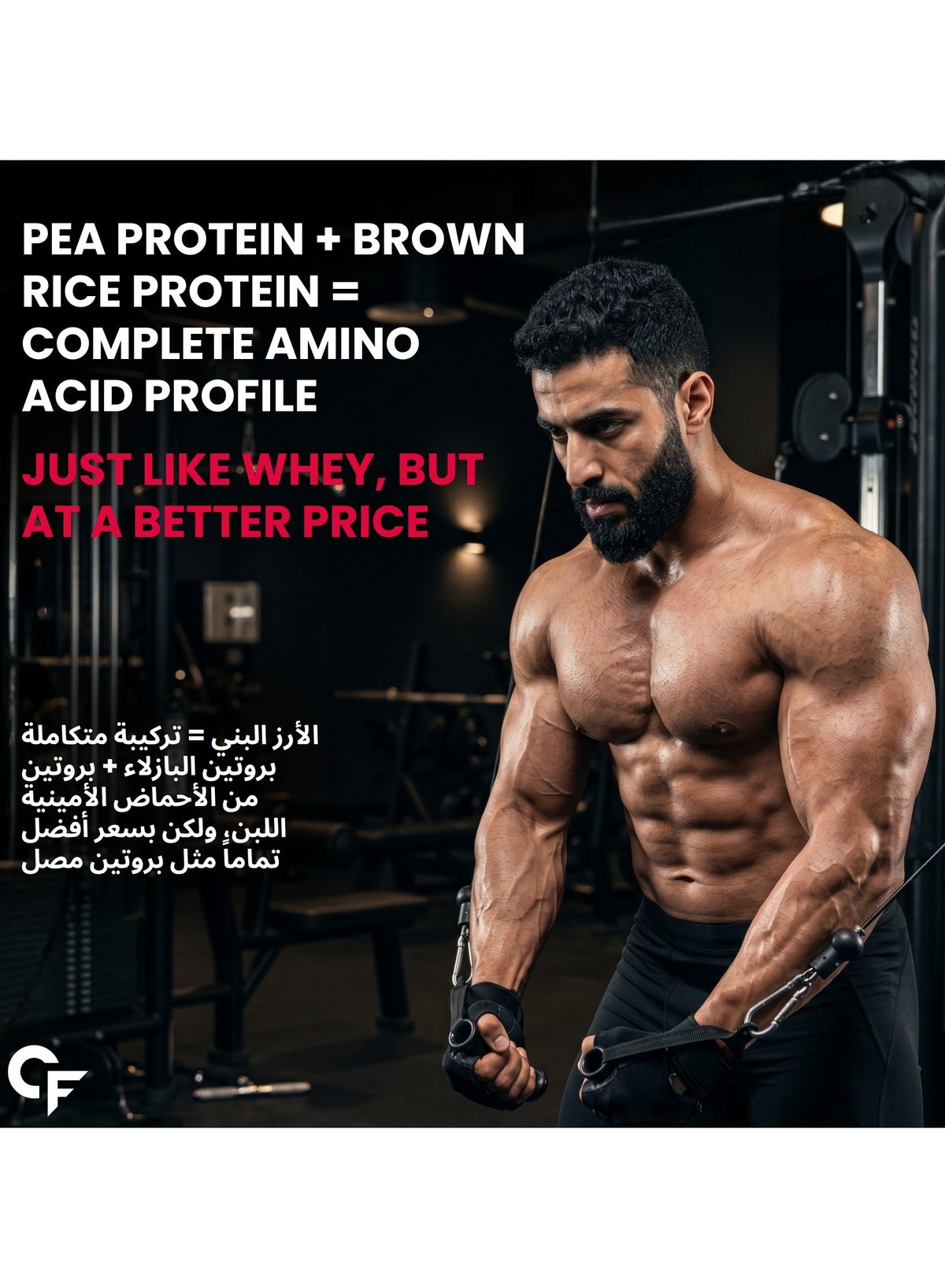 Carbamide Forte Vegan Protein Powder - Plant Based Protein Powder With Multivitamin, Minerals, Superfoods, Pea Protein, Digestive Enzymes | Plant Protein Powder - Watermelon Flavour - 500G