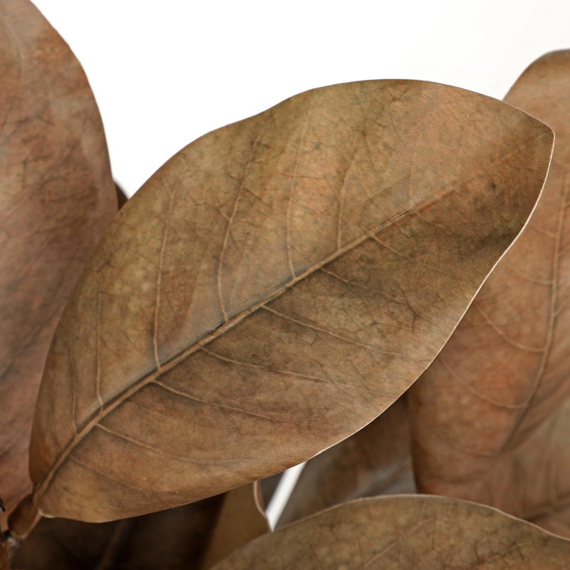 Briful Artificial Magnolia Leaves Stems 3 Pack 22in Coffee Brown Fake Magnolia Branches for Vase Fall Leaves Stems for Home Room Arrangements Centerpieces Thanksgiving DÃ©cor (Vase Not Included) - Image 3