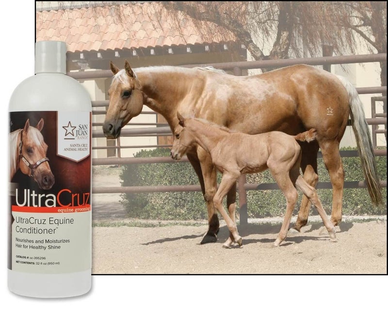 ألترا كروز بلسم فريد - Image 3