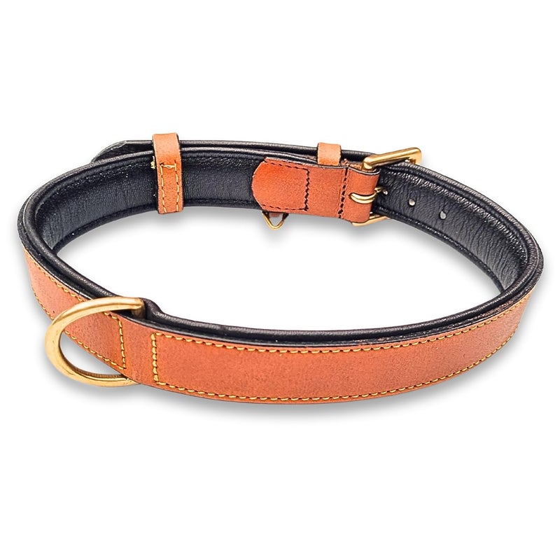 Rubby Premium Leather Dog Collar with Soft Padding, Genuine Leather Collar for Dog, with Brass Buckle and D Ring Heavy Duty Collar (Tan, Extra Large) - Image 4