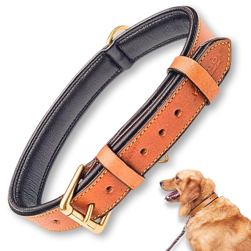 Rubby Premium Leather Dog Collar with Soft Padding, Genuine Leather Collar for Dog, with Brass Buckle and D Ring Heavy Duty Collar (Tan, Extra Large) - Image 1