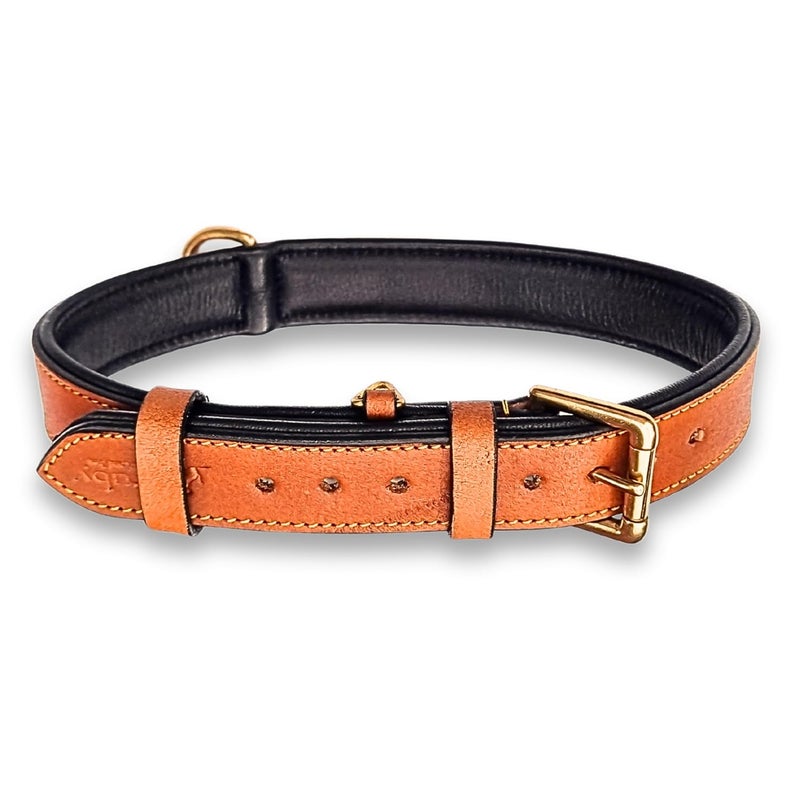 Rubby Premium Leather Dog Collar with Soft Padding, Genuine Leather Collar for Dog, with Brass Buckle and D Ring Heavy Duty Collar (Tan, Extra Large) - Image 3