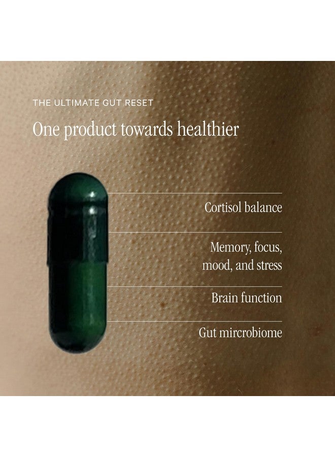 Juna Gut Therapy - Advanced Brain & Gut Health Support with Prebiotic & Probiotics - Improved Mood, Attention & Energy - Supports Memory, Focus & Mental Clarity - Fuel Cognitive Performance (80 Caps) - Image 2
