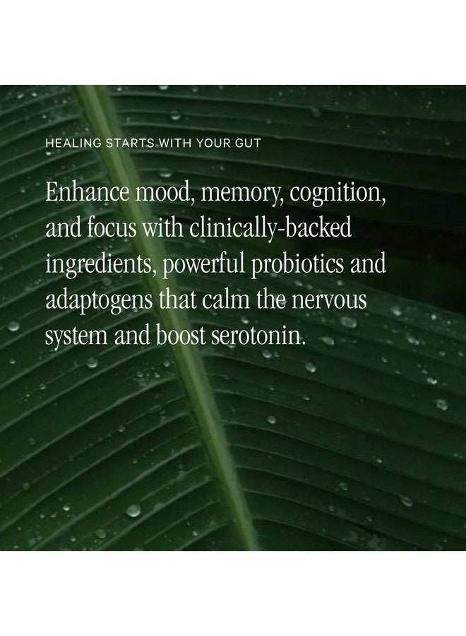 Juna Gut Therapy - Advanced Brain & Gut Health Support with Prebiotic & Probiotics - Improved Mood, Attention & Energy - Supports Memory, Focus & Mental Clarity - Fuel Cognitive Performance (80 Caps) - Image 3