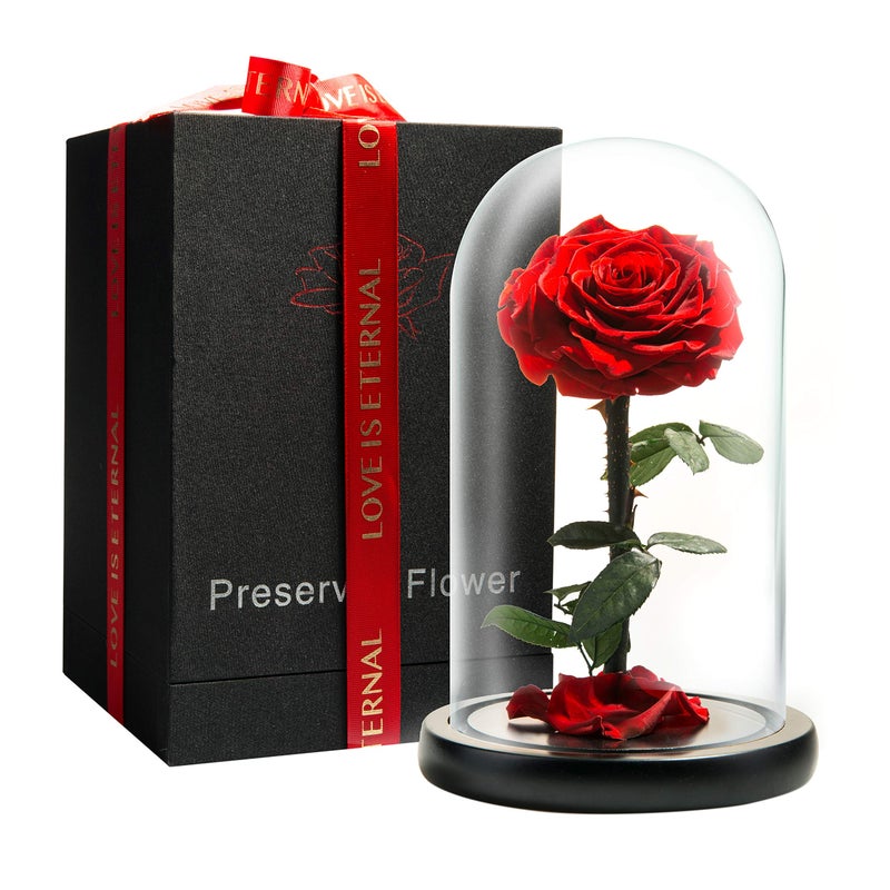 LOVAPPY LOVAPPY Forever Preserved Rose  Eternal Rose in Glass Dome  Beauty and The Beast Rose for Mom  Fresh Flowers in Glass Red 9 Inch 