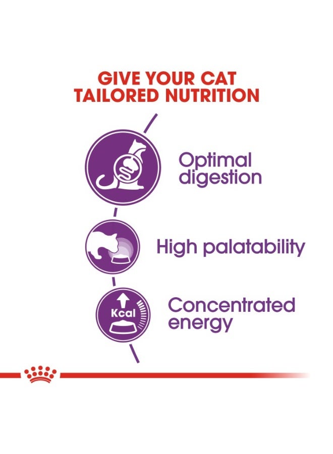 رويال كانين تغذية القطط الصحية الحساسة 2 كجم - Image 3