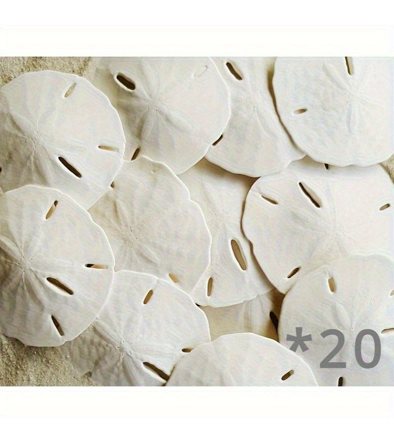20pcs Mediterranean Resin Seashells For Aquarium Home Decor And Micro Landscapes - Image 1