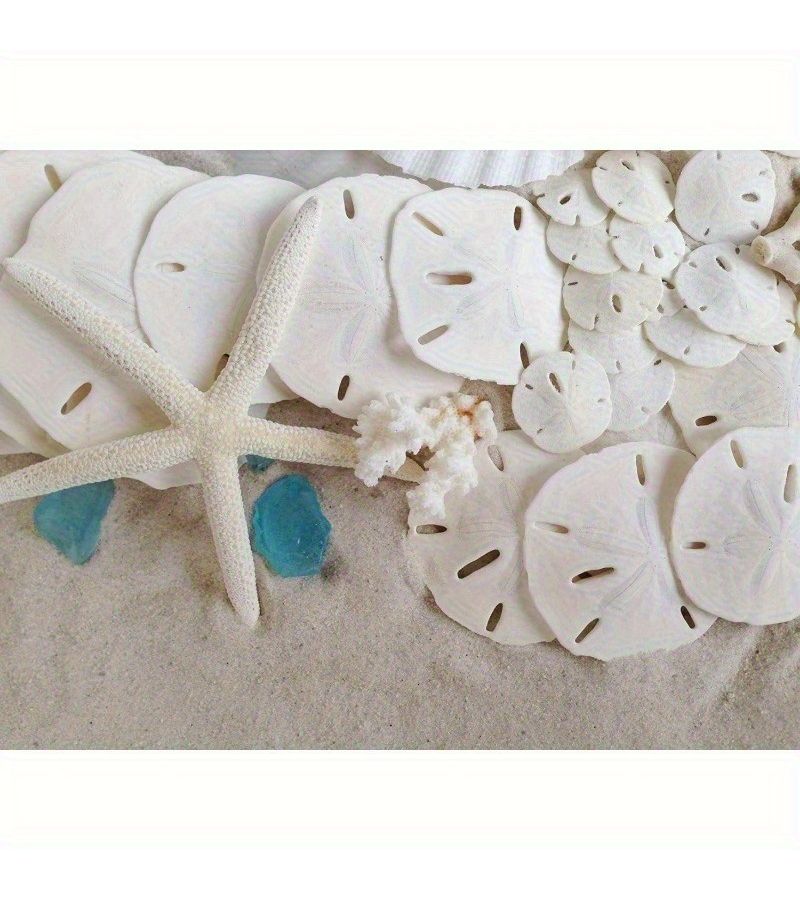 20pcs Mediterranean Resin Seashells For Aquarium Home Decor And Micro Landscapes - Image 5