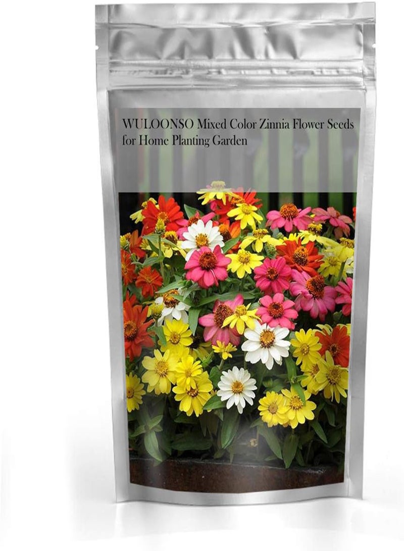 GGOOT Mixed Color Zinnia Flower Seeds for Home Planting Garden - Image 2