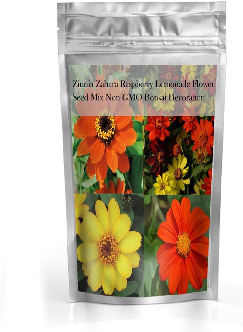 GGOOT Mixed Color Zinnia Flower Seeds for Home Planting Garden - Image 3