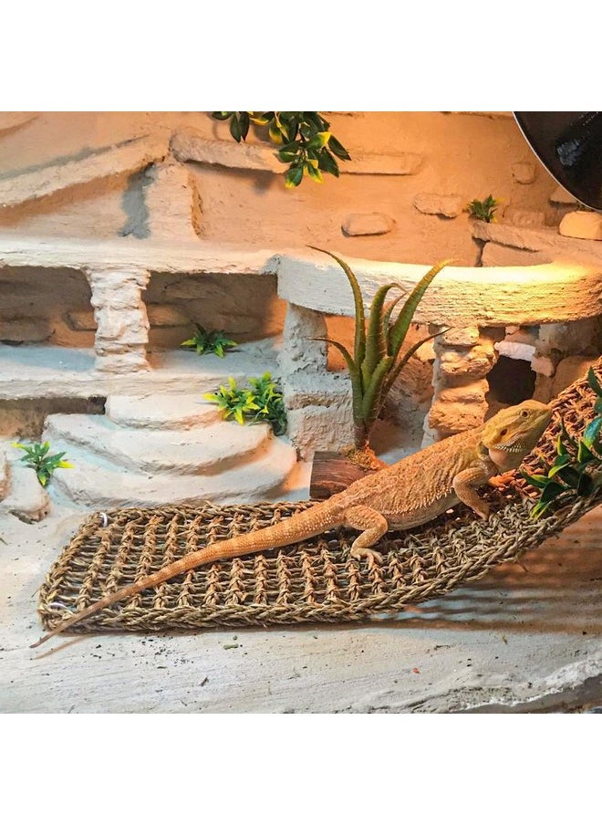 HERCOCCI - HERCOCCI Bearded Dragon Tank Accessories, Reptile Hammock Natural Seagrass Fiber Habitat Decor Flexible Vines Terrarium Toys for Climbing, for Anole Bearded Dragon Lizard Gecko - Image 1