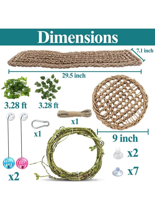 HERCOCCI - HERCOCCI Bearded Dragon Tank Accessories, Reptile Hammock Natural Seagrass Fiber Habitat Decor Flexible Vines Terrarium Toys for Climbing, for Anole Bearded Dragon Lizard Gecko - Image 1