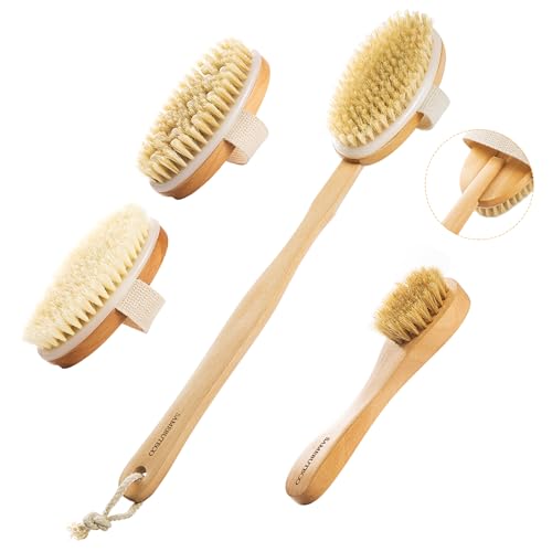 SAMEBUTECO 5 Packs Dry Brushing Set Natural Body Brush Wood Long Handle with 3 Detachable Heads, 1 Face Brush,Natural Boar Bristle Exfoliator for Lymphatic Drainage and Cellulite,Back Scrubber - Image 1