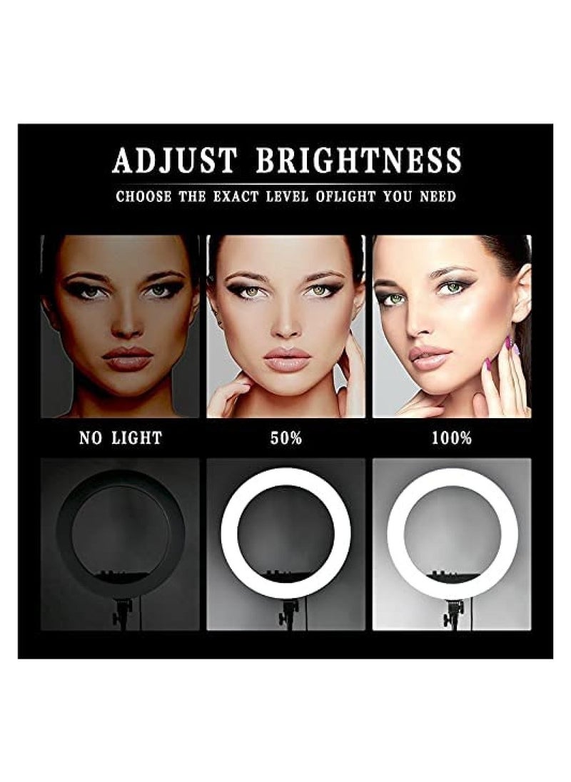 RL - 21 inch Professional Big LED Selfie Ring Light With 3 Mount Phone Holders For Reels Photo Shoot Live Stream Makeup Videos - Image 1