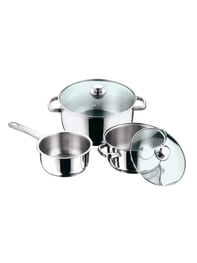 Vinod 5-Piece Stainless Steel Cookware Set with Lid