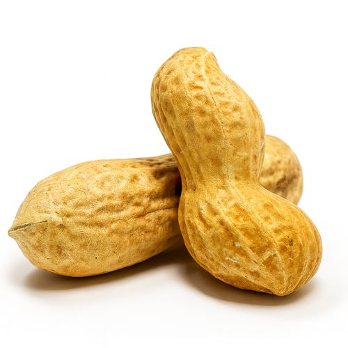 Sky Ecommerce Sky | Premium USA Grown, Raw Peanuts in Shell for Squirrels, 2.5lb | Jumbo Unsalted Peanuts in The Shell. - Image 3