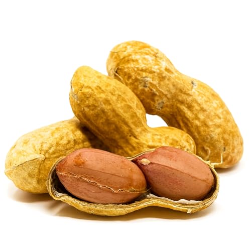 Sky Ecommerce Sky | Premium USA Grown, Raw Peanuts in Shell for Squirrels, 2.5lb | Jumbo Unsalted Peanuts in The Shell. - Image 2