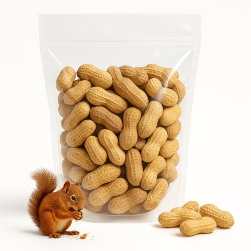 Sky Ecommerce Sky | Premium USA Grown, Raw Peanuts in Shell for Squirrels, 2.5lb | Jumbo Unsalted Peanuts in The Shell. - Image 1