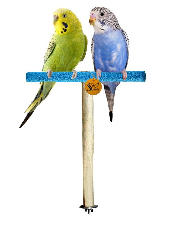 سايج سكوير مجثم رملي للطيور والتدريب مصنوع من الخشب الطبيعي وآمن للطيور (الطيور الصغيرة) - Image 1
