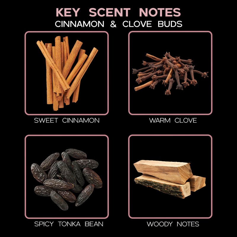 LOVSPA Reed Diffuser Set, Cinnamon & Clove Buds Scented Oil Diffuser with Sticks, Home Fragrance Accessories for Bathroom Shelf Decor, Aroma Diffusers for Home or Office Fall Decor, USA Made - Image 3