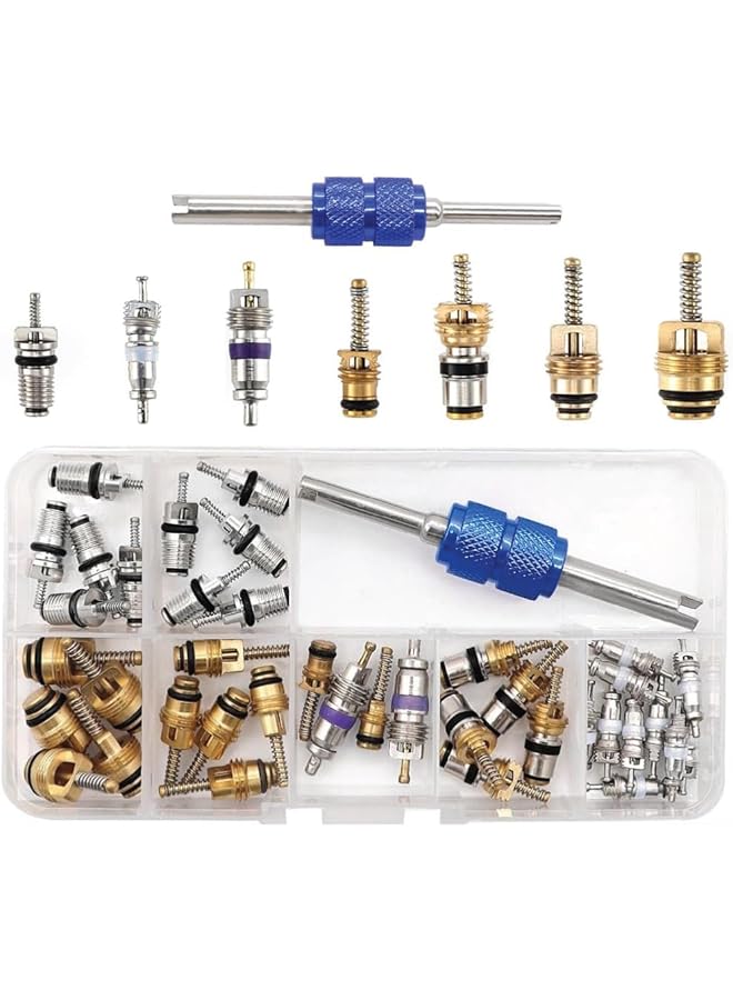 Excefore 40Pcs Car Air Conditioner Valve Core Kit, R12 R134A Automotive A/C Refrigeration Tire Valve Stems With Double Head Dual Dismantling Remover Tool  - Image 1