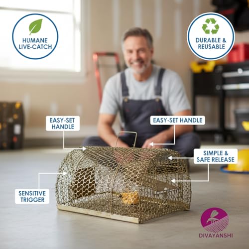 Divayanshi Heavy Duty Rat & Mouse Trap Cage | Strong Iron Wire Pinjara for Catching Small & Large Rats | Safe Reusable Chuha Trap for Home, Warehouse, Food Units & Hotels - Image 5