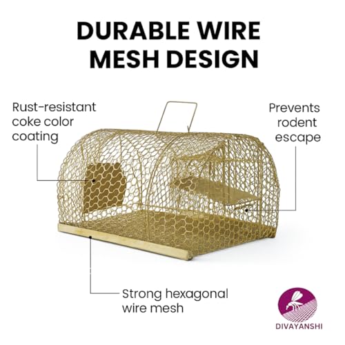 Divayanshi Heavy Duty Rat & Mouse Trap Cage | Strong Iron Wire Pinjara for Catching Small & Large Rats | Safe Reusable Chuha Trap for Home, Warehouse, Food Units & Hotels - Image 3