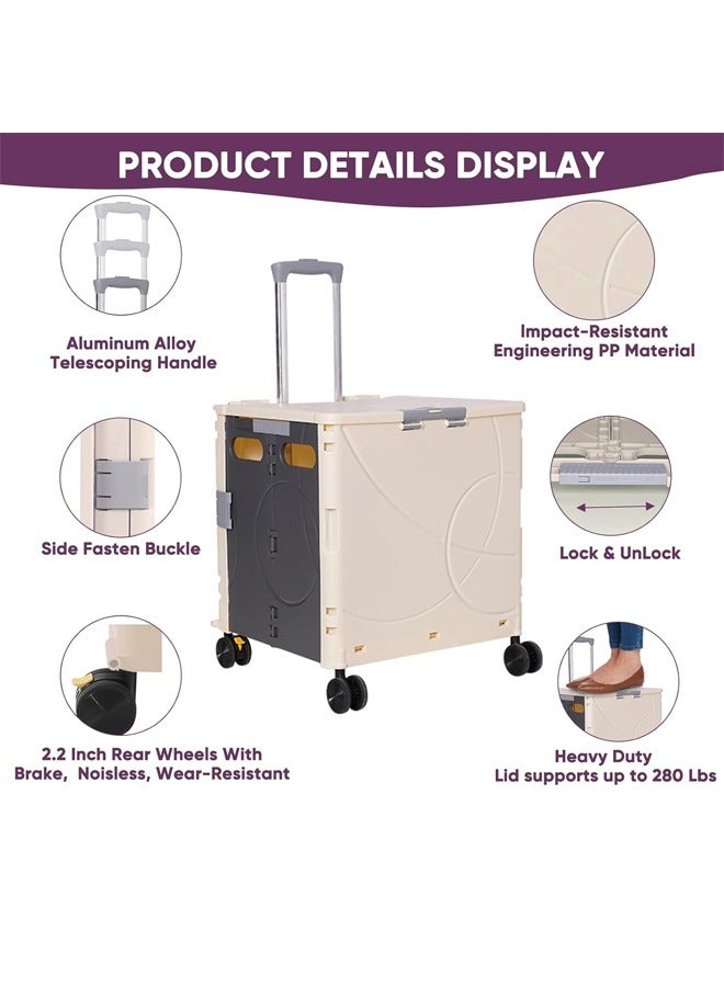 BLOOMING TIME Portable Folding Storage Trolley, Shopping Cart, 48L Large Capacity, With Wheels For Easy Movement Beige - Image 4