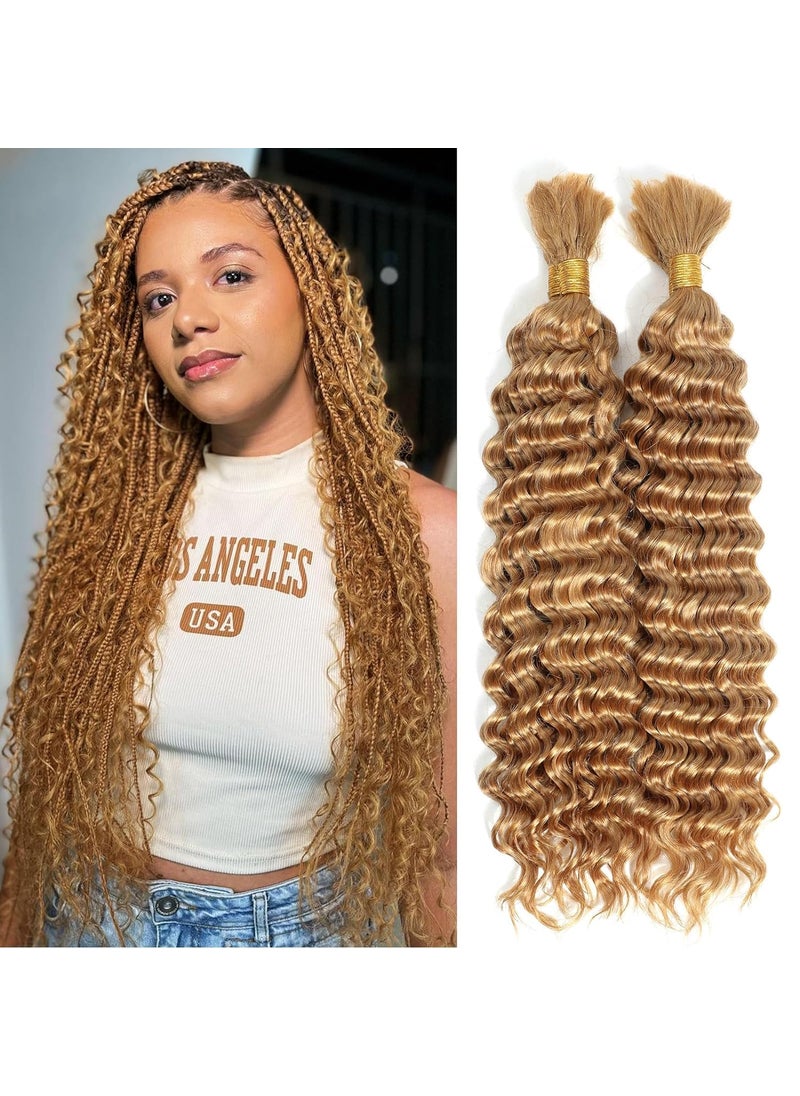 luxnovolex Curly Braiding Human Hair 100g 20 Inch Color 27 Honey Blonde Deep Water Wave Bulk Human Hair for Braiding No Weft Brazilian Virgin Deep Curly Human Hair Extensions for Boho Braids 