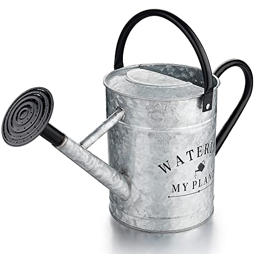 Garutom Galvanized Watering Can for Outdoor Indoor Plants, 1 Gallon Decorative Countryside Style Water Can with Removable Spout, Perfect Metal Watering Can for Indoor Plants and Garden Flower - Image 1