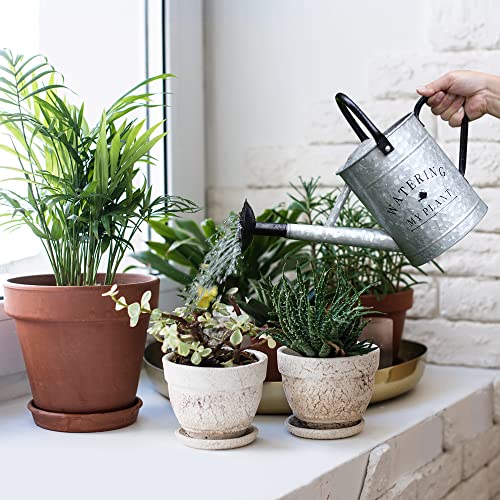 Garutom Galvanized Watering Can for Outdoor Indoor Plants, 1 Gallon Decorative Countryside Style Water Can with Removable Spout, Perfect Metal Watering Can for Indoor Plants and Garden Flower - Image 2