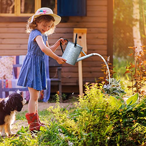 Garutom Galvanized Watering Can for Outdoor Indoor Plants, 1 Gallon Decorative Countryside Style Water Can with Removable Spout, Perfect Metal Watering Can for Indoor Plants and Garden Flower - Image 5