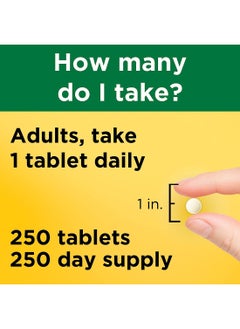 Nature Made Folic Acid 400 Mcg 665 Mcg Dfe Dietary Supplement For Nervous System Function 250 Tablets 250 Day Supply  - Image 4