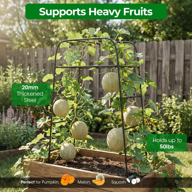 MQHUAYU Garden Arch Trellis for Climbing Plants, 83" High Metal Cucumber Trellis & Tomato Cage, Rustproof Steel Tunnel Support for Squash, Pumpkin, Vegetables with Screw Fixation (32.3" L x 39.4" W) - Image 4