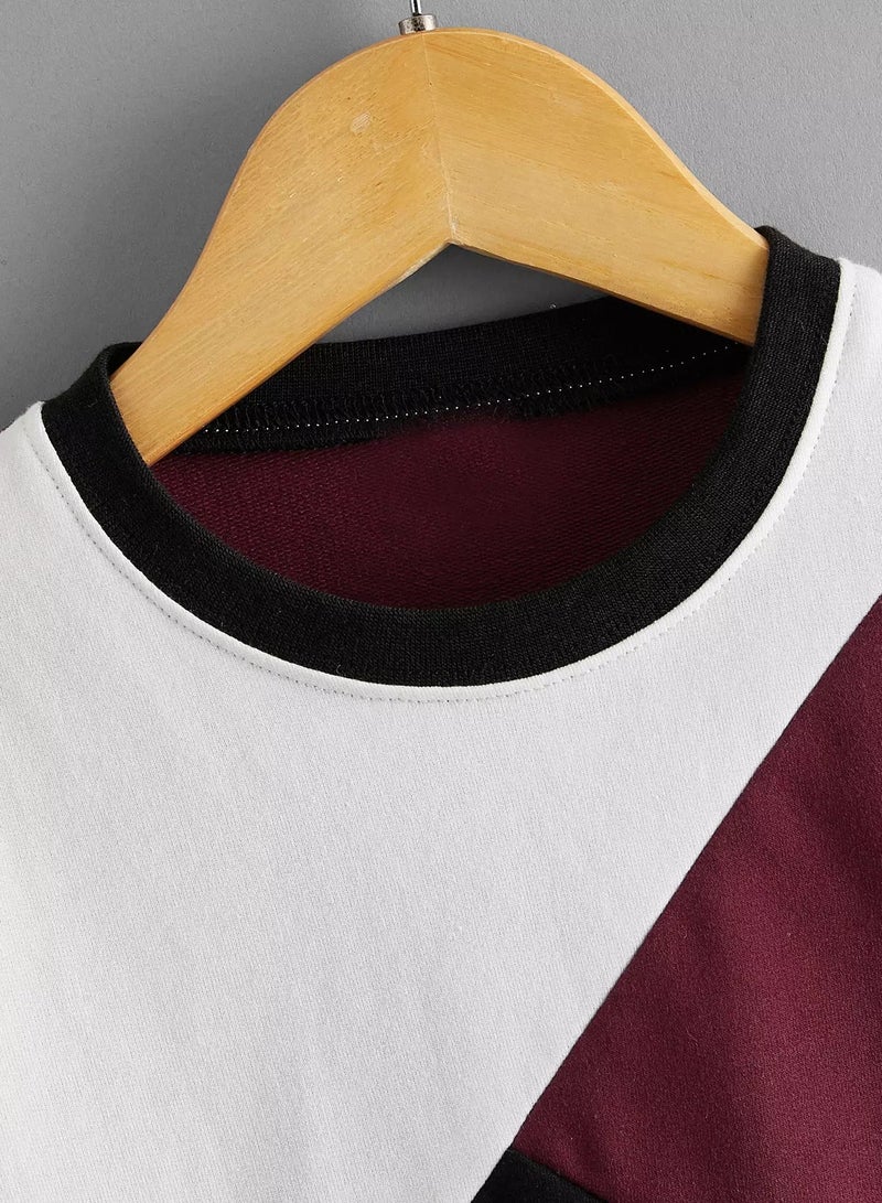 Toddler Boys Cut And Sew Sweatshirt  - Image 4