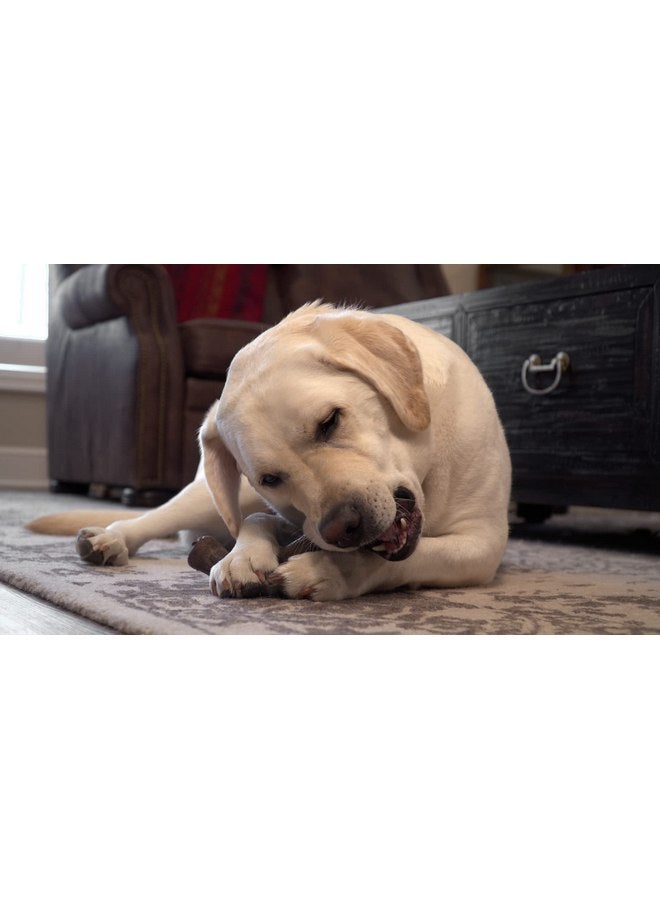 Hero | Bonetics Wishbone | Dog Bones | Puppy Bones | Designed for Medium Dogs Up to 45 lbs (Bacon Flavor) - Image 4