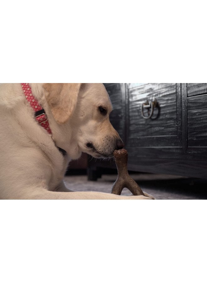 Hero | Bonetics Wishbone | Dog Bones | Puppy Bones | Designed for Medium Dogs Up to 45 lbs (Bacon Flavor) - Image 5