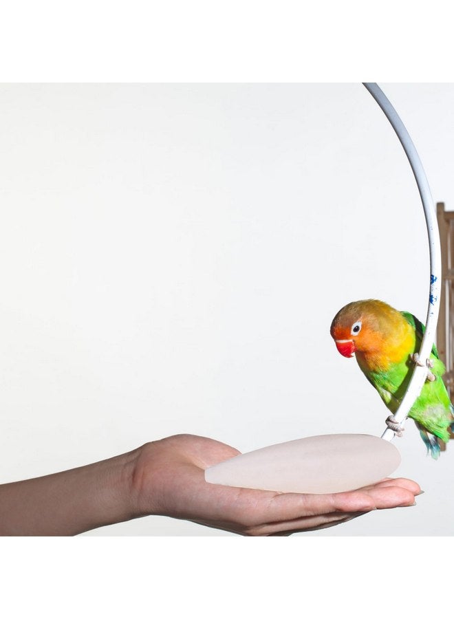 6 قطع من كتلة الكالسيوم الطبيعية من عظم الحبار للطيور والببغاوات والزواحف والسلاحف مسحوق قابل للطحن للتغذية، مصدر كالسيوم طبيعي لتحسين مناعة الحيوانات الأليفة، كل منها 4.3-5.1 بوصة - Image 4