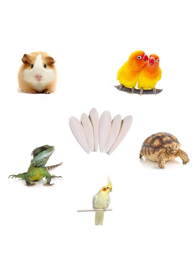 6 قطع من كتلة الكالسيوم الطبيعية من عظم الحبار للطيور والببغاوات والزواحف والسلاحف مسحوق قابل للطحن للتغذية، مصدر كالسيوم طبيعي لتحسين مناعة الحيوانات الأليفة، كل منها 4.3-5.1 بوصة - Image 2