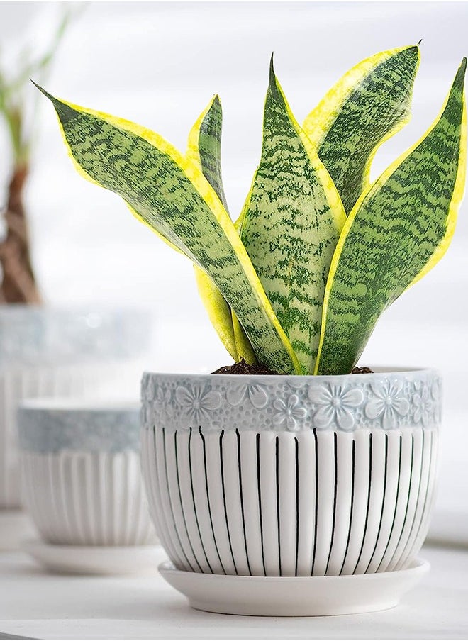 Garlo Plant Pots, 11cm & 14cm & 17cm Flower Pot with Drainage Holes and Saucers, Set of 3 Ceramic Plant Pot with Tray, Outdoor Small to Medium Sized Round Modern Ceramic Garden Flower Pots  - Image 5