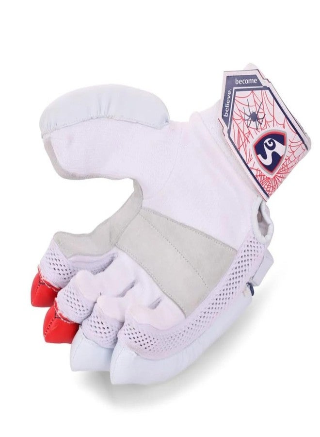 إس جي قفازات الضرب SG RP Club S Junior RH - Image 5