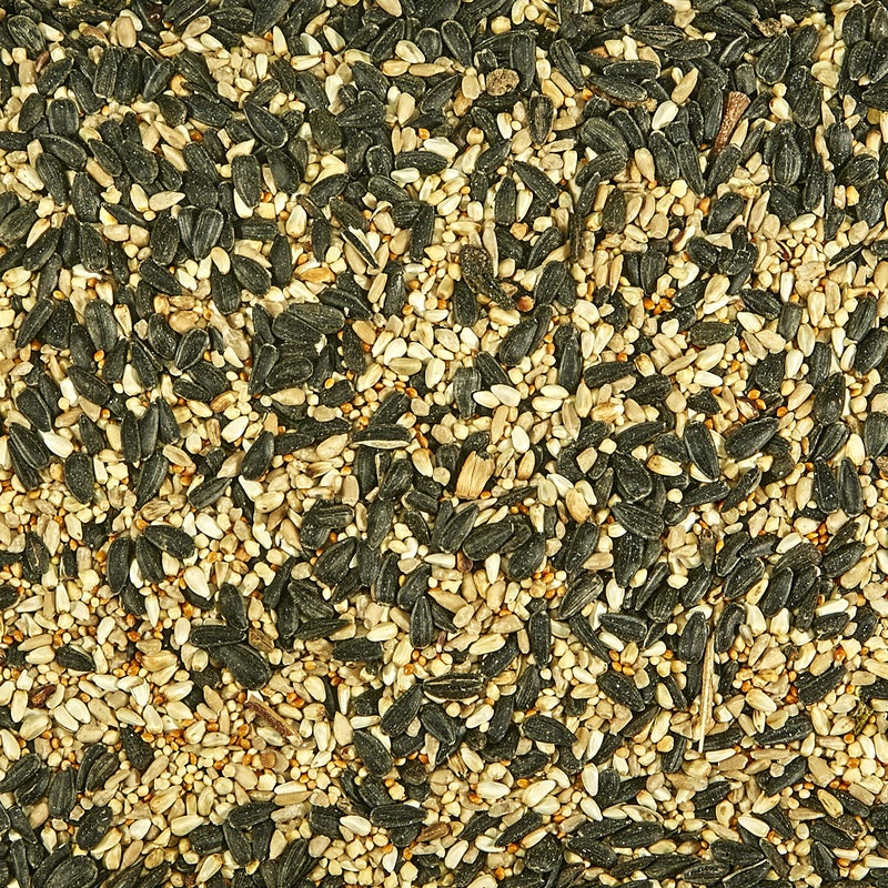 Kaytee Southern Regional Wild Bird Blend, 7-Pound Bag - Image 5