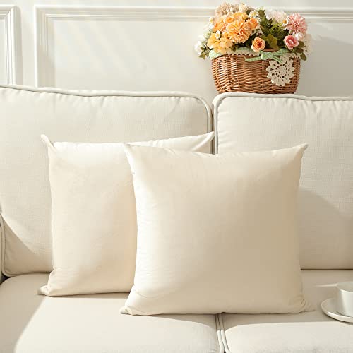 Stellhome Pack of 2 Velvet Pillow Covers Square Decorative Cushion Covers for Bed Couch Sofa Bench, 20 x 20 inch (50 x 50 cm), Cream - Image 1