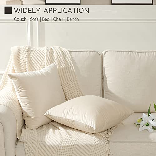 Stellhome Pack of 2 Velvet Pillow Covers Square Decorative Cushion Covers for Bed Couch Sofa Bench, 20 x 20 inch (50 x 50 cm), Cream - Image 4