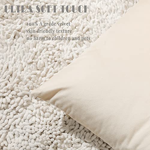 Stellhome Pack of 2 Velvet Pillow Covers Square Decorative Cushion Covers for Bed Couch Sofa Bench, 20 x 20 inch (50 x 50 cm), Cream - Image 2
