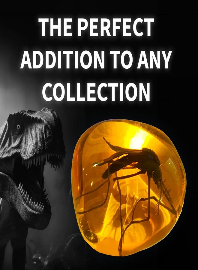 VEOJEIN Mosquito in Amber Fossil Replica Light Paperweight – DNA's Ancient Window – Dinosaur Era Relic – Premium Resin Artifact – Perfect for History & Paleontology Enthusiasts - Image 3