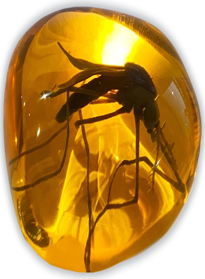 VEOJEIN Mosquito in Amber Fossil Replica Light Paperweight – DNA's Ancient Window – Dinosaur Era Relic – Premium Resin Artifact – Perfect for History & Paleontology Enthusiasts - Image 1